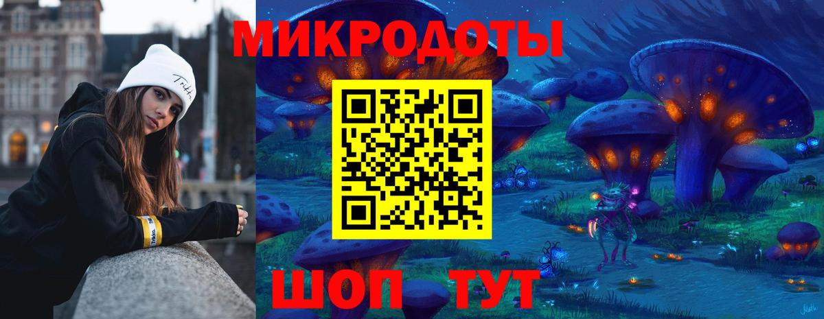 Сафоново  Галлюциногенные грибы Psilocybine cubensis  Вход с VPN 